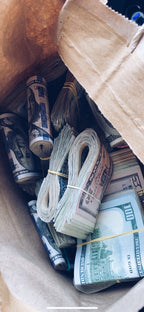PAPER BAG MONEY HOODIE (CROPPED)